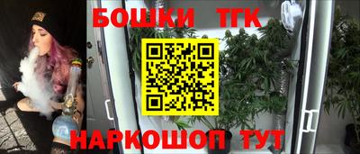 индика Партизанск