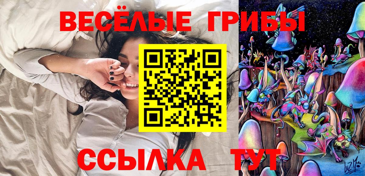 Галлюциногенные грибы Psilocybine cubensis  Вход с VPN  Рассказово 